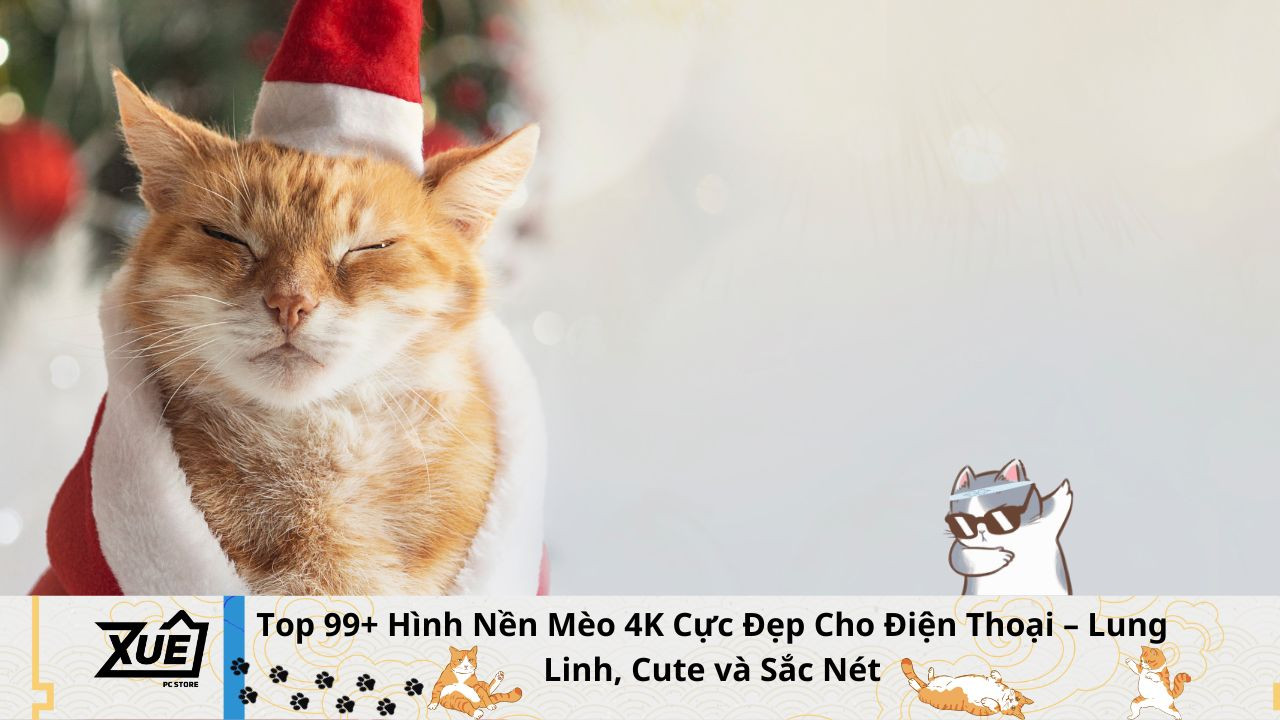 Top 99+ Hình Nền Mèo 4K Cực Đẹp Cho Điện Thoại – Lung Linh, Cute và Sắc Nét