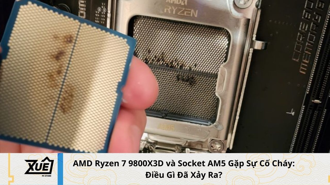 AMD Ryzen 7 9800X3D và Socket AM5 Gặp Sự Cố Cháy: Điều Gì Đã Xảy Ra?