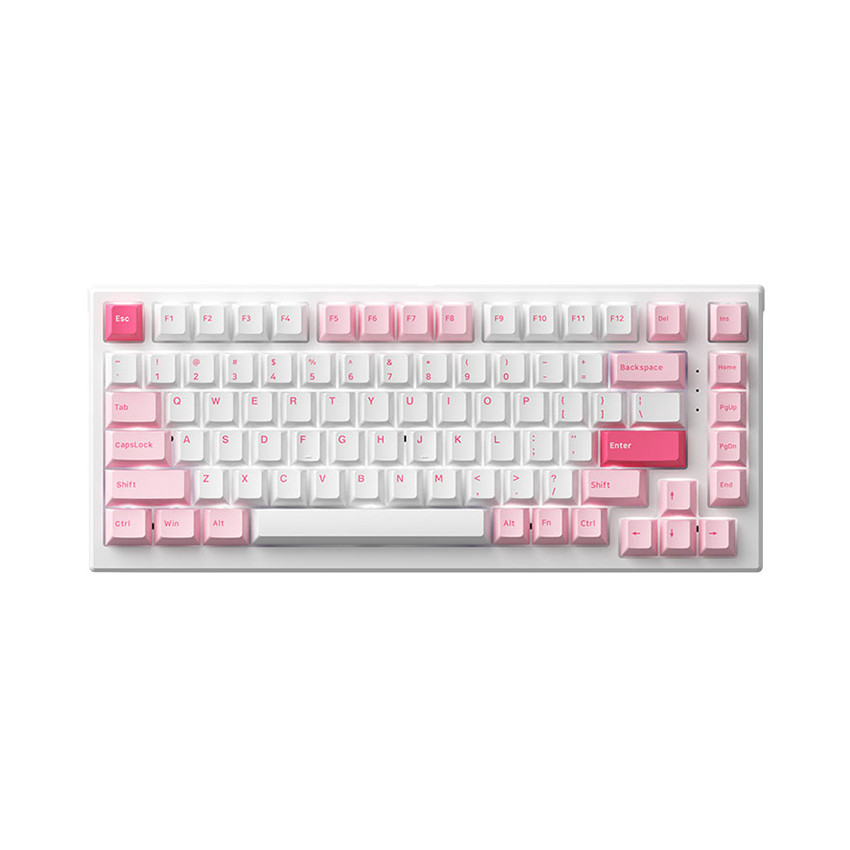 BÀN PHÍM CƠ AKKO MONSGEEK MG75 PRUNUS LANNESIANA (AKKO SWITCH V3 - CREAM YELLOW)