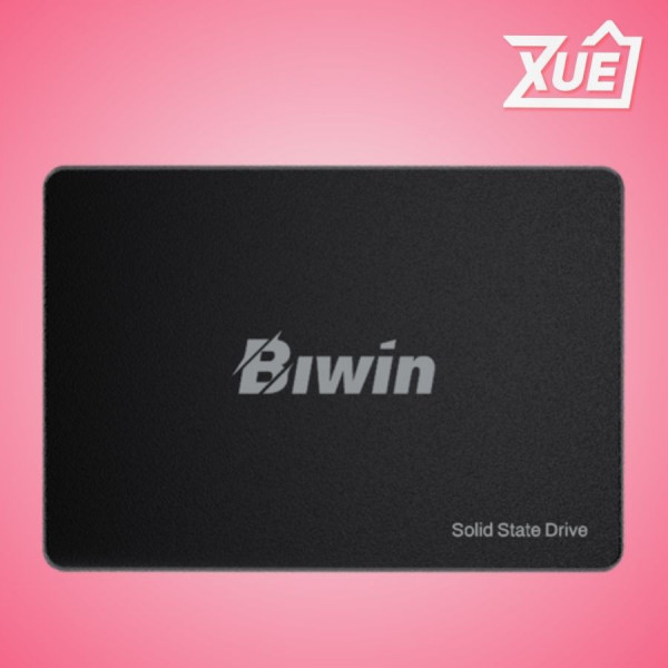 Ổ CỨNG SSD BIWIN 256GB M100 2.5'' SATA III - BM100NN256G-RGX 
