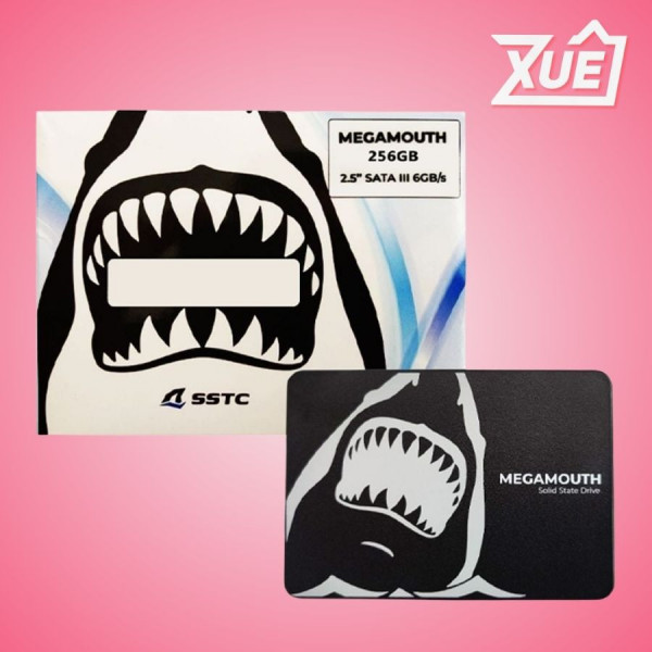 Ổ CỨNG SSD SSTC MEGAMOUTH 256GB SATA III (MS-M100-256Q)