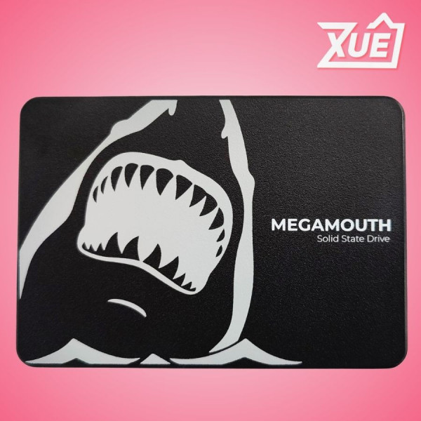Ổ CỨNG SSD SSTC MEGAMOUTH 512GB SATA III (MS-M100-512Q)