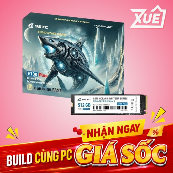 Ổ CỨNG SSD SSTC E130 PLUS M2 NVME GEN 3 512GB (E130-PLUS-512GB)