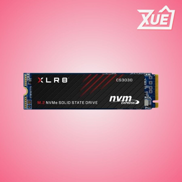 Ổ CỨNG SSD CS3030 1TB M.2 2208 PCIE NVME GEN 3X4 (ĐỌC 3500MB/S), GHI 3000MB/S))