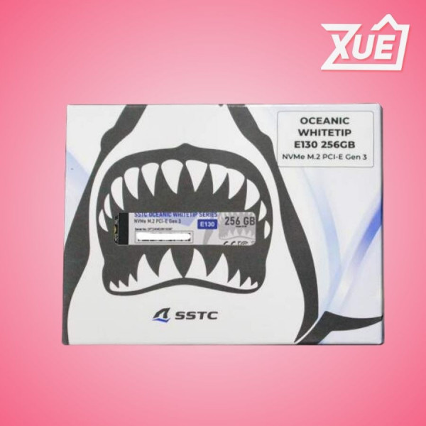Ổ CỨNG SSD SSTC E130 256GB M.2 NVME GEN 3.0X4 (ĐỌC: 2400MB/S - GHI: 1400MB/S)
