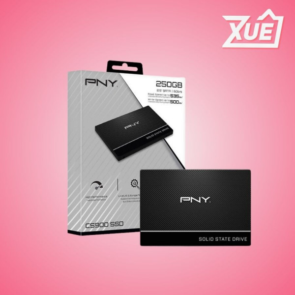 Ổ CỨNG SSD PNY CS900 250GB 2.5 INCH SATA3 (ĐỌC 535MB/S - GHI 500MB/S) - (SSD7CS900-250-RB)