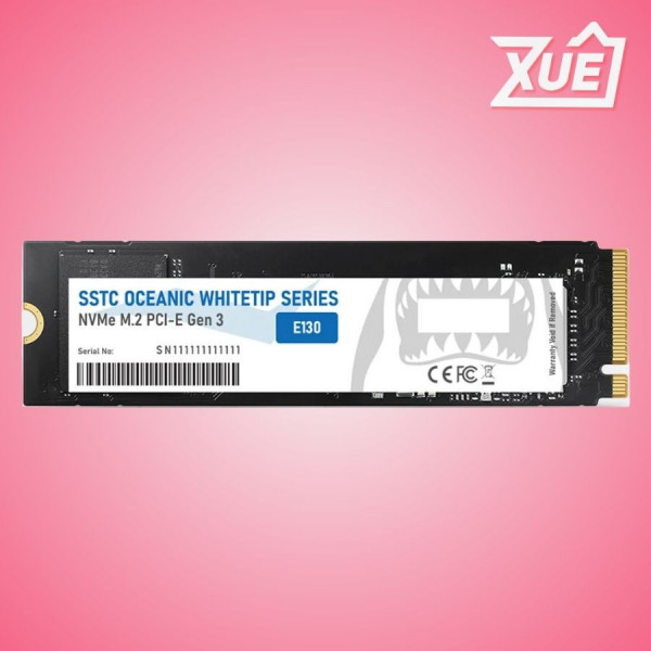 Ổ CỨNG SSD SSTC E130 PLUS 1TB – M.2 2280 PCIE GEN3 X4 (ĐỌC 3200MB/S - GHI 2600MB/S) - (OP-E130-1TQ)