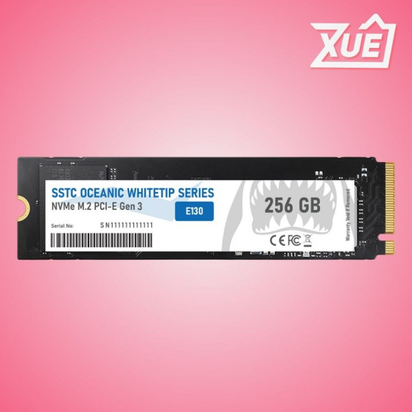 Ổ CỨNG SSD SSTC E130 PLUS 256GB – M.2 2280 PCIE GEN3 X4 (ĐỌC 3200MB/S - GHI 2700MB/S) - (OP-MAXIII-256T)