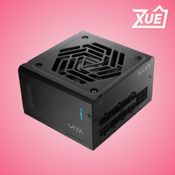 NGUỒN FSP VITA 850GM - 850W (80 PLUS GOLD, FULL MODULAR)