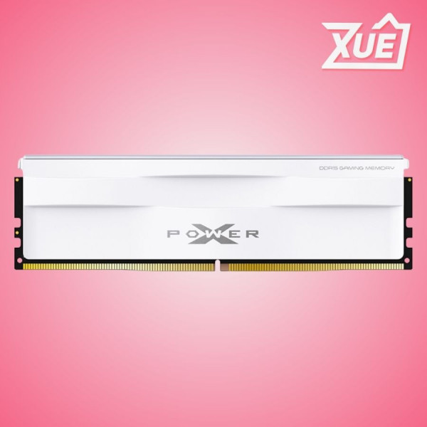 RAM DESKTOP SILICON WHITE (SP032GXLWU560FSG) 32GB (1X32GB) DDR5 5600MHZ