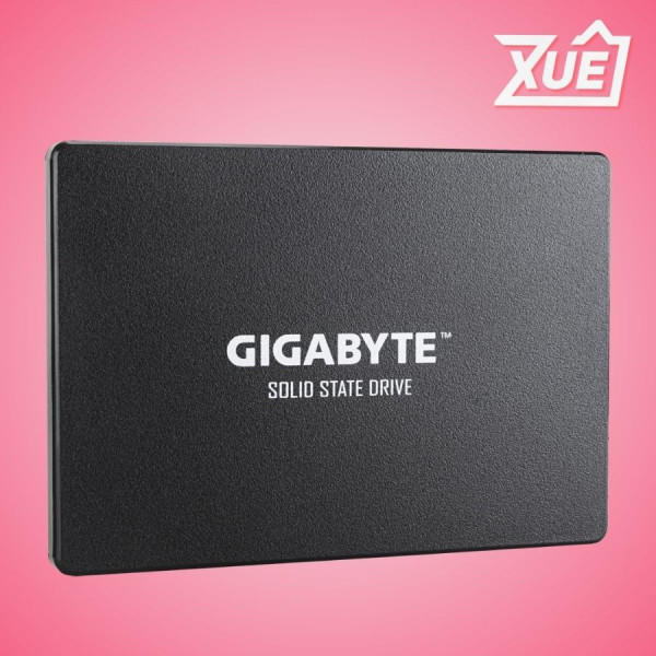 Ổ CỨNG SSD GIGABYTE GP-GSTFS31256GTND 256GB SATA III 2.5