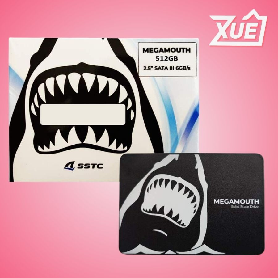 Ổ CỨNG SSD SSTC M110 512GB 2.5 INCH SATA III (ĐỌC 560MB/S - GHI 520MB/S) - (MS-M110-512T)